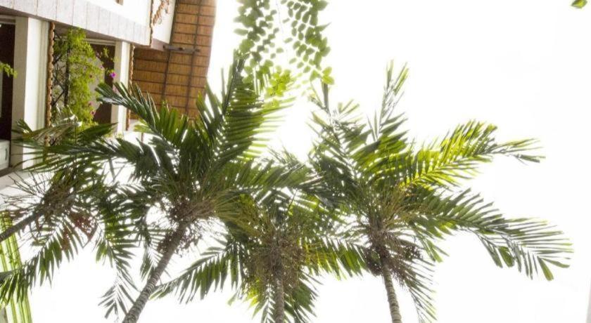 Spring Hotel Can Tho Luaran gambar